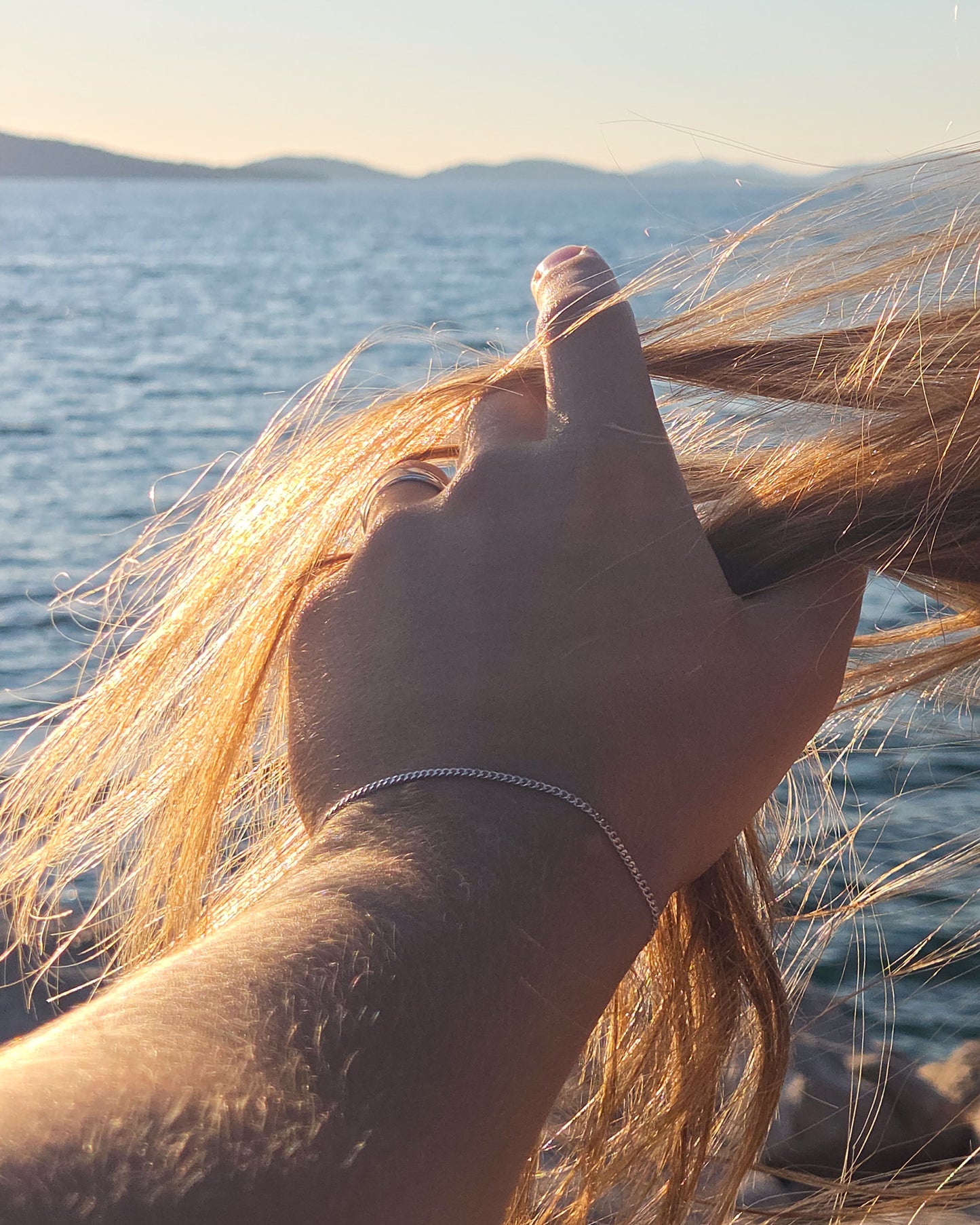 Chain Bracelet
